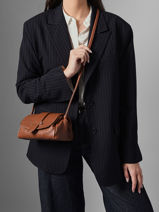 Sac Bandoulire S Agnes Cuir Etrier Marron agnes EAGC205S-vue-porte